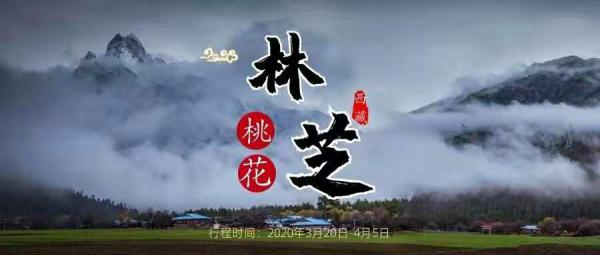 西藏林芝桃花节深度摄影创作采风团